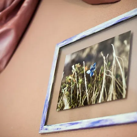 Vaquero Alquiler Completo Abiada