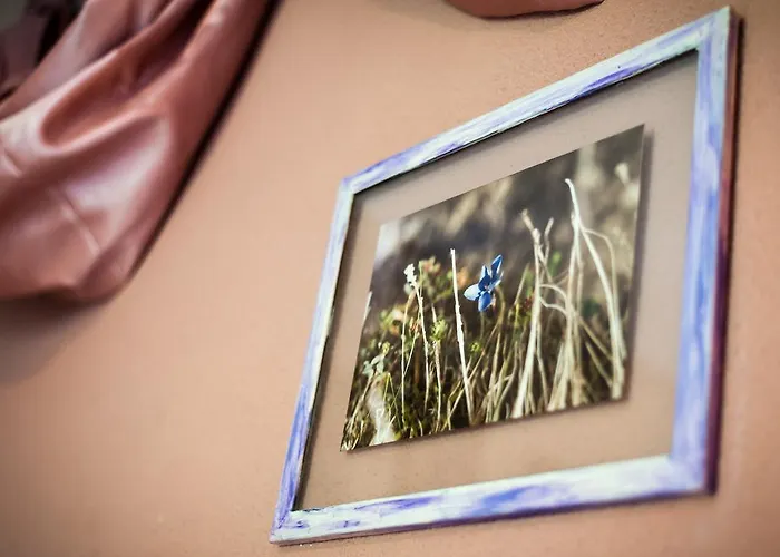 Vaquero Alquiler Completo Abiada